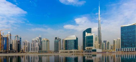 UAE Free zone company